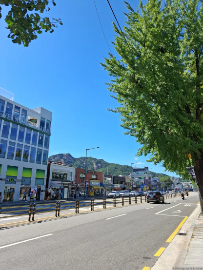 Tongin market, Seoul.
