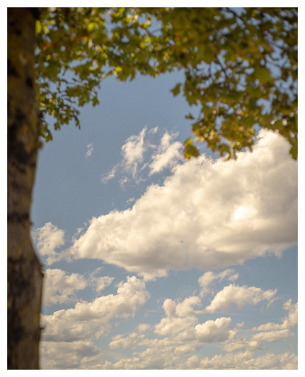 Spätsommerlicher Schönwetterwolkenhimmel von Baum umrandet.