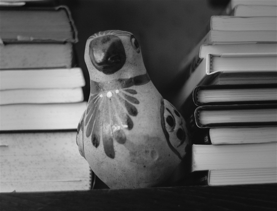 A ceramic painted bird bird sits on a shelf surrounded by books in this black and white image.