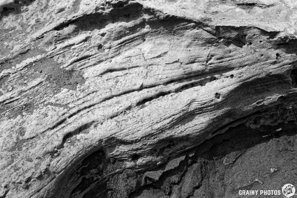Close-up of textured rock surface, featuring intricate patterns and layers. The image is in black and white, highlighting the natural contours and lines of the stone, with sandy elements surrounding it.