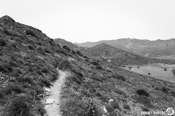 A winding dirt path leads through grassy hills, bordered by rocky terrain and distant mountains under a gray sky. The landscape has a serene, monochromatic feel, showcasing the natural beauty of the surrounding area.