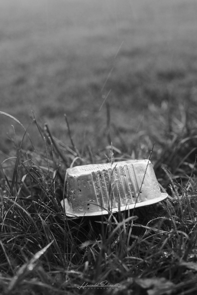 Discarded plastic container lying in wet grass during the rain.