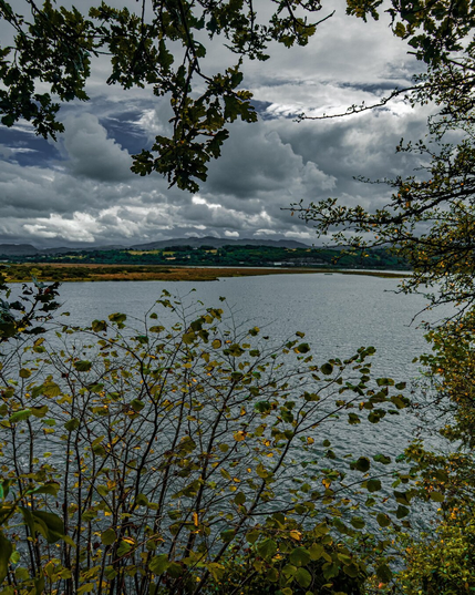 A landscape photo looking across the waters of a tidal estuary. The image is framed by autumnal foliage with green and yellow leaves. In the distance, dramatic, billowing clouds fill the sky over distant rolling hills.