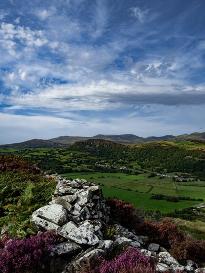 High-angle view of a vibrant landscape in North Wales. In the foreground, an ancient dry-stone wall with uneven white-and-grey stones is surrounded by purple heather and green ferns. Beyond the ridge is a wide valley with a patchwork of bright green pastures and small clusters of white houses. In the distance, rolling hills stretch across the horizon under a blue sky filled with wispy white clouds.