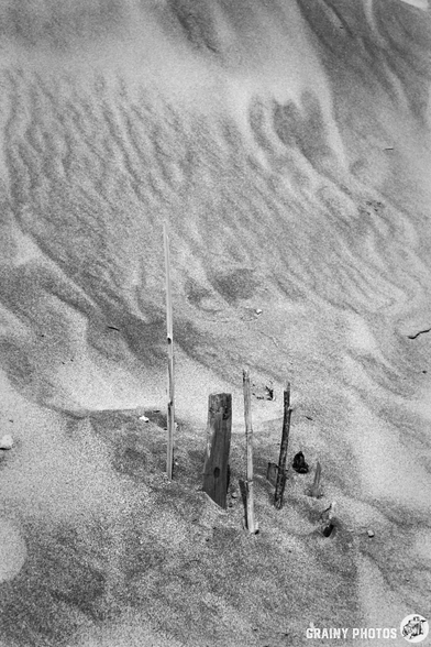 A close-up view of a sandy dune featuring several sticks and wooden pieces partially embedded in the sand, with gentle ripples creating a textured background in a monochromatic setting.