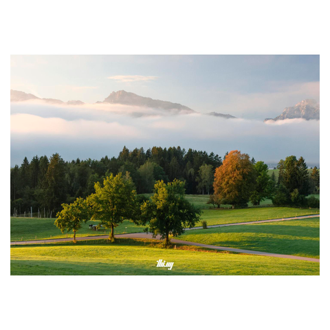 A group of trees in some fields near the forest catching the first warm yellow morning light. The leaves of some trees are already turning orange. In mid-distance low hanging white clouds are floating as a thick dense layer above the lake (itself 99% invisible), their tops illuminated in soft peachy pink pastel light. The mountain peaks of the Ammergauer Alps visible above in the distance. Otherwise clear pale blue sky.