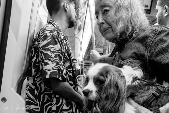 In the subway, an elderly person holds his dog in his arms and is about to get off the car.