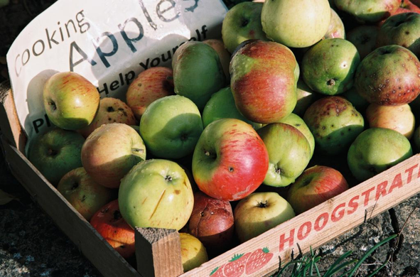 Colour film photo of a box of apples. A paper at the top says "Cooking Apples Please help yourself". The wooden box is labelled "Hoogstrat". Taken with a Pentax Z-1 and a SMC  Pentax-F 35-105 zoom lens on Portra 160 film, in the days when that was affordable!