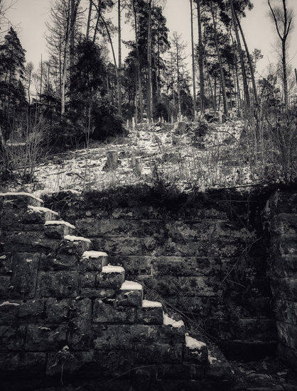 A monochrome photograph of a rustic stone staircase ascending a forested hillside. The steps, partially covered in patches of snow, lead upward to dense woodland with tall, leafless trees and overgrown vegetation. The scene is quiet and natural, with a textured stone wall on one side.