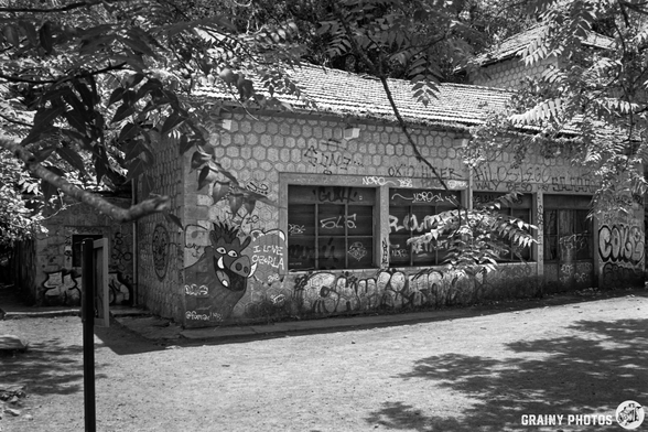 A weathered, graffiti-covered building surrounded by trees, featuring large windows. The structure's exterior displays various colorful tags and street art, set against a backdrop of dappled sunlight on the ground.