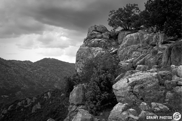 A dramatic black and white landscape featuring rugged rocks and a solitary tree atop a boulder, set against a backdrop of rolling hills and a cloudy sky. The scene captures the raw beauty of nature's textures and contrasts.