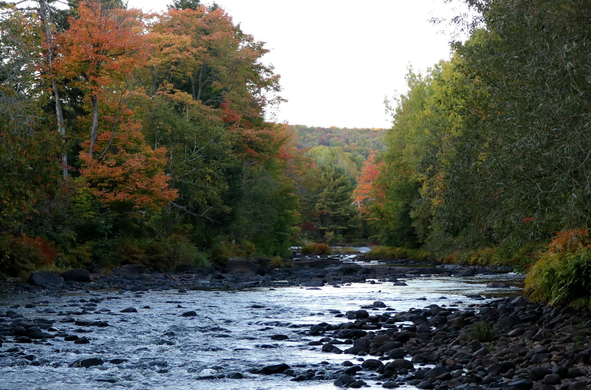 Photograph of a river at the end of the day, framed by green forest that begins to turn red on the first day of fall. The soft light of the setting sun makes the sky white and the water. pale blue.

Photographie d'une rivière en fin de journée, encadrée de forêt verte commençant à devenir rouge lors de la première journée d'automne. La lumière douce du soleil couchant rend le ciel blanc et l'eau de la rivière bleu pâle.