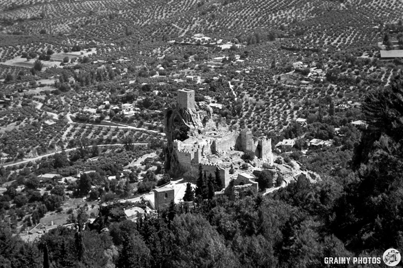 Aerial view of a Iruela castle ruin surrounded by lush olive groves and rolling hills, captured in black and white. The landscape highlights the contrast between the ancient stone structure and the vibrant greenery.