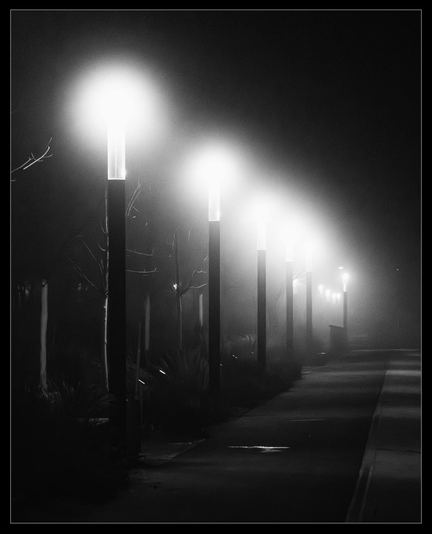 Straßenlampen im Nebel an einem Weg.