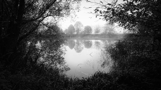 Man sieht zwischen Bäume und Sträucher auf einen kleinen See. Im Hintergrund stehen Bäume am leicht nebeligen Ufer. Diese spiegeln sich auf der Wasseroberfläche. Das Foto ist in Schwarzweiß.