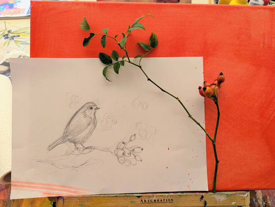 The photo shows a canvas I have already primed with orange paint, a rosehip branch, and a loose pencil sketch of a robin perched on a rosehip branch.