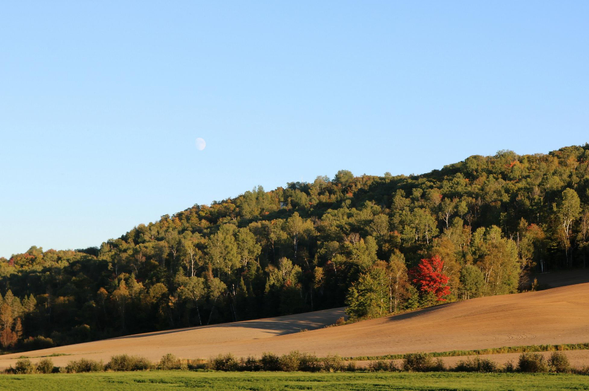 Photograph of a rural landscape in autumn, showing a verdant hill descending the image obliquely from right to left, with small touches of yellow and orange here and there, and a maple tree already very red, contrasting almost at the center. At the bottom of the hill, fields with a beautiful bare golden soil, ready to be sown, separated from another very green field completely at the bottom of the photo by a border of shrubs. The blue sky occupies the upper half of the photo, with the moon almost full and white, just above the green hill.

Photographie d'un paysage rural en automne, montrant une colline verdoyante descendant l'image en oblique de droite à gauche, avec de petites touches de couleurs jaune et orangé ici et là, et un érable déjà bien rouge, contrastant presque au centre. Dans le bas de la colline, des champs avec une belle terre dorée à nu, prêts à être semés, séparés d'un autre champ bien vert complètement dans le bas de la photo par une lisière d'arbustes. Le ciel bleu occupe la moitié supérieure de la photo, avec la lune presque pleine et blanche, juste au-dessus de la colline verte.
