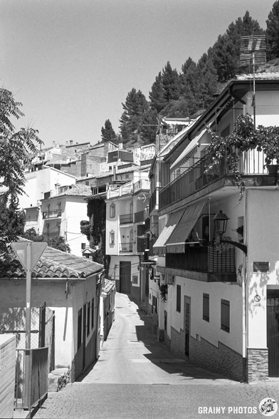 A narrow street lined with charming white-washed houses and balconies adorned with plants, leading upward towards a background of pine trees. The scene captures a tranquil, picturesque urban environment in black and white.