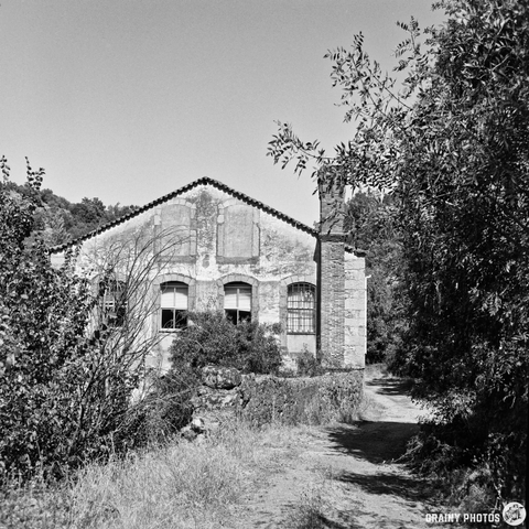 A weathered, single-story building with arched windows sits nestled amongst overgrown vegetation and tall grasses. A brick chimney extends from the roof, while a path leads away from the structure under a clear sky. The scene evokes a sense of quiet abandonment and timelessness.