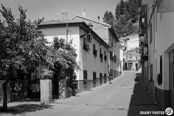 A quiet, narrow street lined with white buildings and potted plants, bathed in sunlight. A tree and decorative foliage frame the scene, creating a serene atmosphere in a quaint neighborhood. The path slopes gently upward, leading to more houses in the distance.