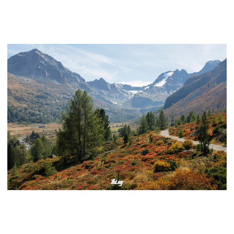 A path leading into the distance through a stunningly colorful alpine landscape with glaciated peaks in the background. In foreground, a dense carpet of small bushes and grasses in intensely saturated autumn colors (reads/oranges/yellows). Rocks and small groups of larches and Swiss pines dotted here and there. A mountain creek meandering through the meadows in the large cirque in the back. Hazy pale blue sky with some wispy clouds forming.