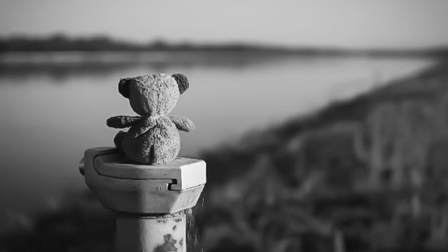 Ein kleiner Teddy sitzt mit dem Rücken zur Kamera und schaut auf den Rhein,