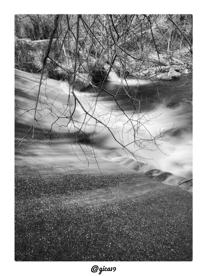 La foto es un paisaje fluvial en blanco y negro. Muestra el agua del río Cuerpo de Hombre al pasar por una pequeña cascada, vista desde la Ruta de las Fábricas de Béjar, apartándose un poco del camino. La ruta la hicimos en febrero del 2023, un invierno frío.
En primer plano hay una superficie de piedra o cemento oscuro, con textura granulada y pequeños puntos claros. Parece húmeda o mojada. Sobre ella cuelgan desde arriba, en diagonal, ramas finas y desnudas. Esas ramas enmarcan la escena y dan profundidad.
La foto está hecha con larga exposición. El agua se ve sedosa y fluye en curvas suaves de blanco espumoso. Baja por una rampa lisa a la izquierda y se agita hacia la derecha, donde salta en pequeños escalones de piedra redondeados. Al fondo, un segundo chorro cae desde una abertura o arco entre las rocas.
Arriba, la ribera está llena de vegetación seca, ramas entrecruzadas, rocas y un muro de piedra cubierto de musgo. La luz de la mañana es suave y da un contraste medio. Las sombras profundas del agua contrastan con las zonas de espuma brillantes. El blanco y negro resalta las texturas y el contraste entre el movimiento del agua y la quietud de las ramas y las rocas.