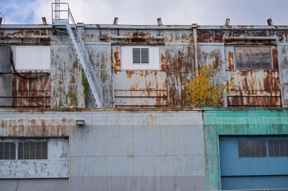 A photo of an old warehouse with a rusty white, grey, and turquoise-green corrugated metal exterior, and boarded-up windows. On either side, there are two wide windowed garage-style doors, one white and the other cerulean blue. A light grey metal staircase leads from the roof to the a lower platform. On that lower level, weeds and a bright yellow bush have found a way to thrive in an unlikely place.