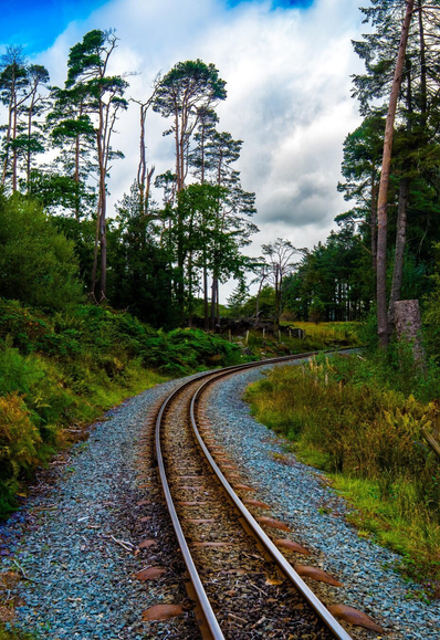 Narrow-gauge railway tracks curve away to the right into a green forest. The silver and rusty orange metal tracks are surrounded by grey gravel stones. Tall pine trees rise into a cloudy sky on the right, with dense ferns and green foliage covering the embankment on the left.