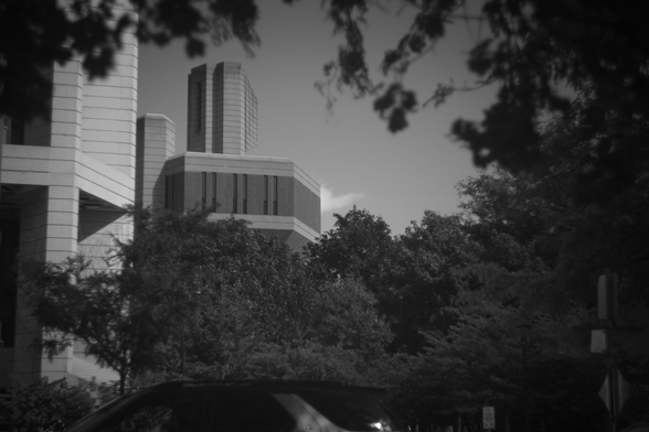 Photo through foliage, framing a large, concrete building.