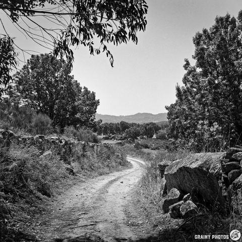 A black-and-white photograph depicts a winding dirt road leading through a rural landscape in Beirã, Alentejo. Dense foliage and rocky embankments frame the road, which curves towards distant hills under a bright afternoon sky. The scene evokes a sense of tranquillity and timelessness.