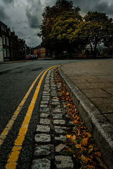 A low-angle shot of a curved street on a stormy autumn day. A cobblestone gutter filled with fallen brown and orange leaves tucked against the pavement and double yellow lines from the foreground curve to the right in the distance. To the left are dark terraced buildings. Straight ahead is a park with large dense trees under a moody, grey sky.