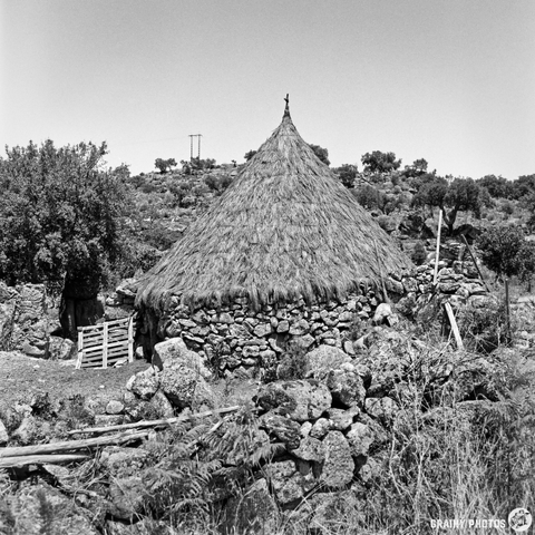 A stone shepherd’s hut with a large, conical thatched roof sits nestled amongst rocky terrain and scrubby vegetation. The scene is bathed in the bright, warm light of a mid-afternoon summer day, creating a sense of rustic tranquility. A simple wooden fence and scattered stones complete the rural setting.