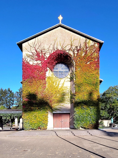 Farbfoto im Hochformat. Frontalansicht des Hauptgebäudes eines Friedhofs bei Sonnenschein und blauem Himmel. Das Gebäude hat ein Spitzdach, außerdem ein rundes Fenster und eine quadratische Eingangstür. Auf dem Gebäude wächst wilder Wein, er leuchtet bunt.