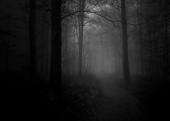 This is a dark and brooding woodland image. There is heavy fog, and much of the woodland is in shadow. There is light in the distance, revealing dark silhouettes around the viewer. There is a sense of unease. It's probably the kind of place you would expect to see in a horror movie or something.