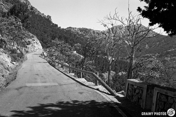 A winding road curves through a mountainous landscape, flanked by tall trees and dry, barren vegetation. The scene is captured in black and white, emphasizing the stark contrast between the road and the surrounding nature.