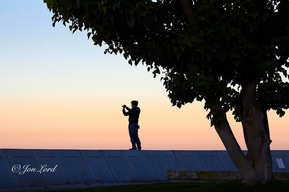 This is a colour sunrise photo of a man standing on a seawall with his camera in hand and the warm orange glow of the day's first light in the background. Redondo Beach, California (2011).
In the lower right corner of the photo is the trunk of a large tree that extends upwards and diagonally across the image towards the upper left corner almost dividing the image in half. The tree above the first two metres of trunk is covered in foliage, mostly in silhouette, though some of the large leaves can be seen as being green. Extending horizontally across the picture from the left to the right edges is the white concrete, one and a half metre tall, seawall. In the centre of the photo, standing on the seawall and facing away from the camera is our man photographing the Pacific sunrise. The light is beyond him and he is in shadow with his silhouette clearly defined against the dawn sky. He is viewed from five to ten metres away and with him filling a little less than one quarter of the height of the photo. Beyond the photographer is an orange, almost golden glow from the rising sun. The orange band extends upwards from the top of the seawall to the half way up level in the image. Above this, the colour of the clear and cloudless sky rapidly graduates from orange into blue.