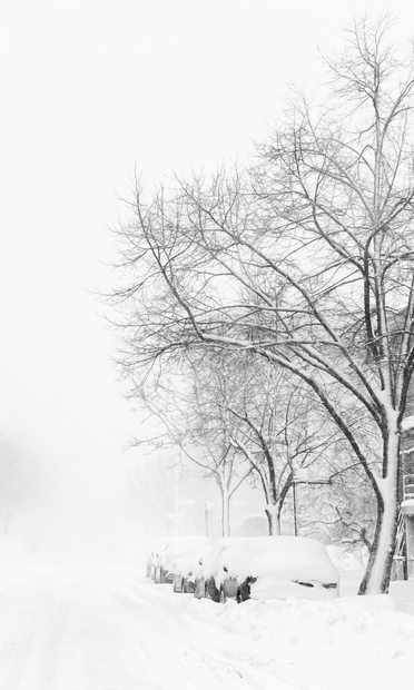 Black and white photo of a Brooklyn street during a blizzard in February 2026. Leafless trees caked in snow tower over the white mounds of snow-covered parked cars, with a glimpse of a low brick apartment building in the background. The sky and distant street details dissolve into a blank wall of snowflakes. I took the photo while standing in the middle of the empty road, and cropped it such that only the right side of the street is showing, the trees and cars like an island pushing into a sea of white.