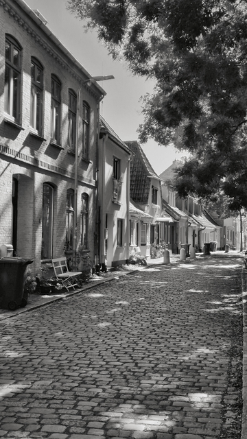Zu sehen ist ein rechteckiges Hochkantfoto in Schwarz-Weiß von einer dörflich geprägten Kopfsteinpflasterstraße, die sich perspektivisch nach rechts hinten verjüngt. Links davon stehen kleine mehrstöckige Gebäude mit Ziegelmauerwerk und teilweise hohen Fenstern. Vor den Häusern sind Alltagsgegenstände wie Mülleimer und Sitzbänke zu erkennen. Auf der rechten Seite überhängen Baumkronen die Straße und werfen Schatten auf das Pflaster. Die Szene wirkt ruhig und zeigt keine Personen. Das Licht deutet auf einen sonnigen Tag hin, erkennbar an den deutlichen Schattenkontrasten zwischen beleuchteten und beschatteten Bereichen.