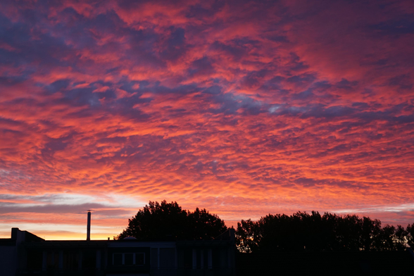 Farbfoto im Querformat. Rosaroter Sonnenaufgang an wolkigem Himmel über Hausdächern.