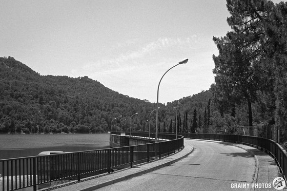Curved road along Embalse del Aguascebas, surrounded by dense trees and mountains. The scene is captured in black and white, showcasing a peaceful landscape with a guardrail and street lamps lining the edge of the road.